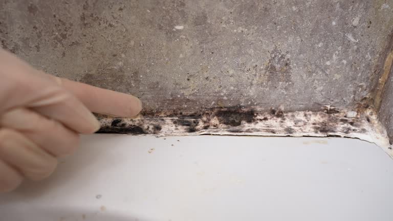 Forensic Mold Investigation in Whitehorn Cove, OK
